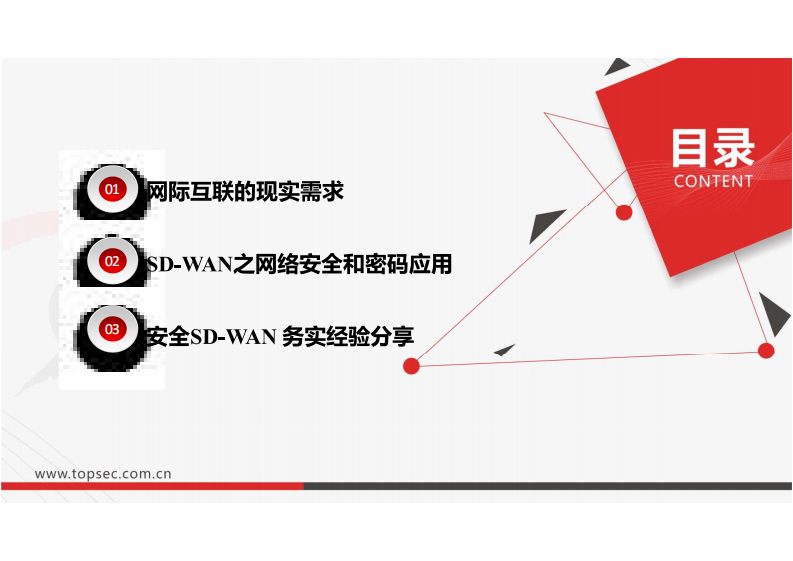 5.景鸿理：网际互连话安全—SDWAN及密码应用.pdf 第2页