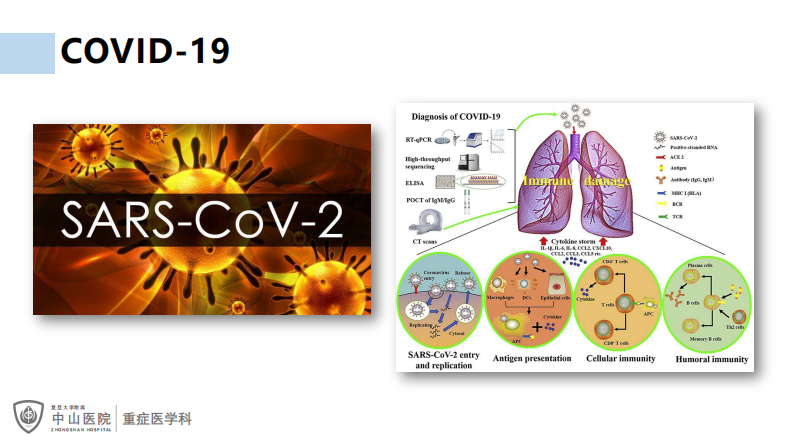 罗哲：COVID19治疗和AI-CT.pdf 第2页