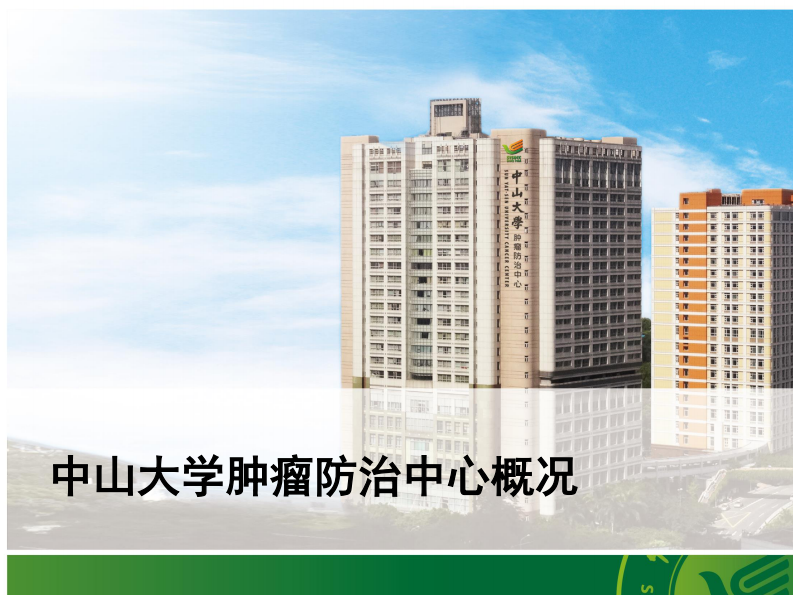 何彩升：智慧医技服务平台建设.pdf 第2页