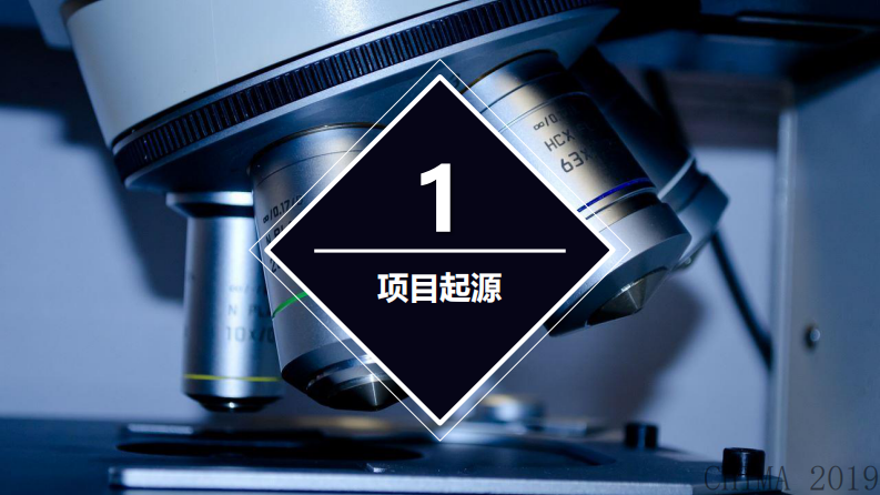 焦磊：构建新型医院集团互联互通集成平台的实践.pdf 第2页