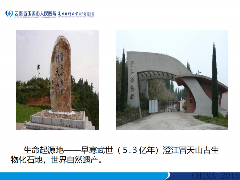 周玲：云南省玉溪市人民医院DRG付费制度改革实践与思考.pdf 第5页