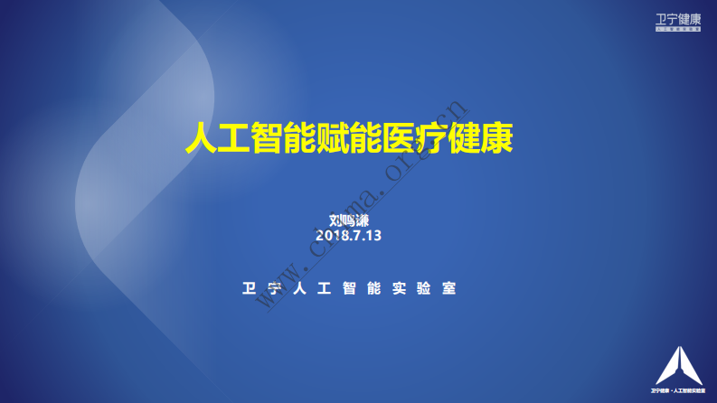 卫宁健康：人工智能赋能医疗健康.pdf 第1页