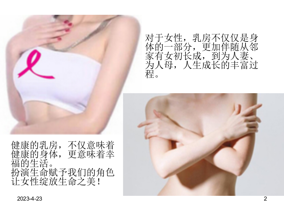 乳腺癌筛查与BI-RADS分类报告的解读.ppt 第2页