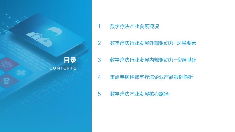 中国数字疗法产业白皮书—地方产业发展研究报告.pdf 第2页