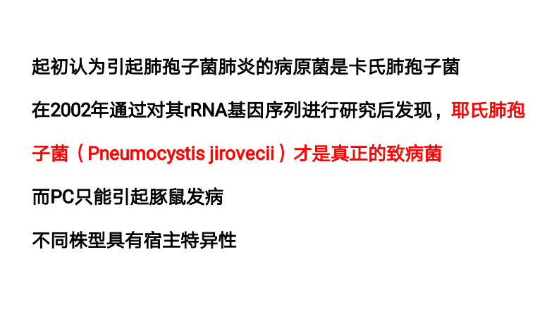 PJP的影像学表现.pdf 第5页
