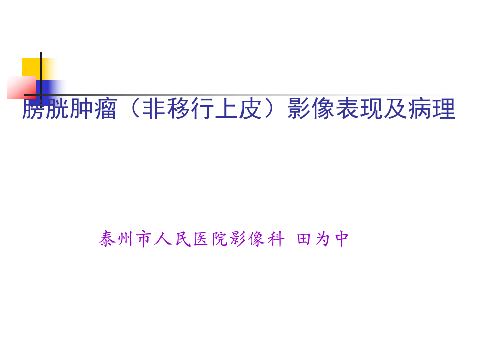 膀胱肿瘤（非移行上皮） 影像表现及病理—田为中主任.ppt 第1页