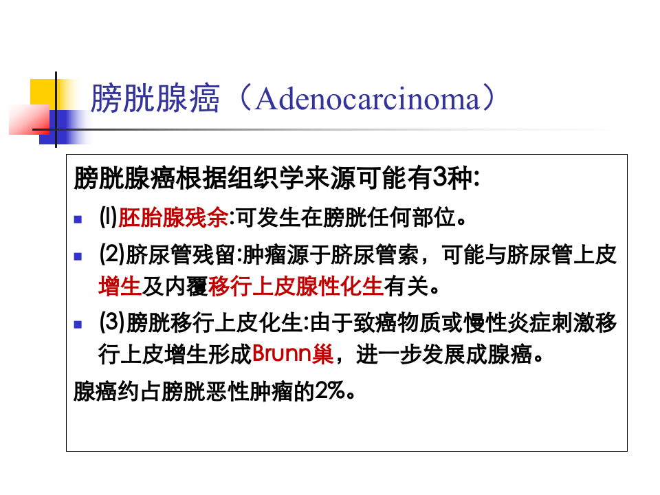 膀胱肿瘤（非移行上皮） 影像表现及病理—田为中主任.ppt 第5页