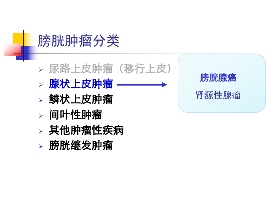膀胱肿瘤（非移行上皮） 影像表现及病理—田为中主任.ppt 第4页