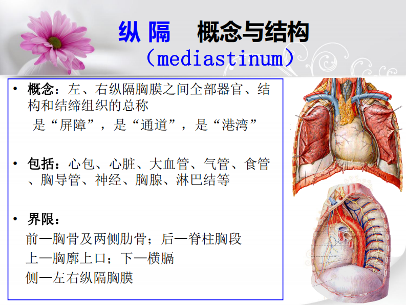 前纵隔实性肿瘤的影像认识--师毅冰.pdf 第2页