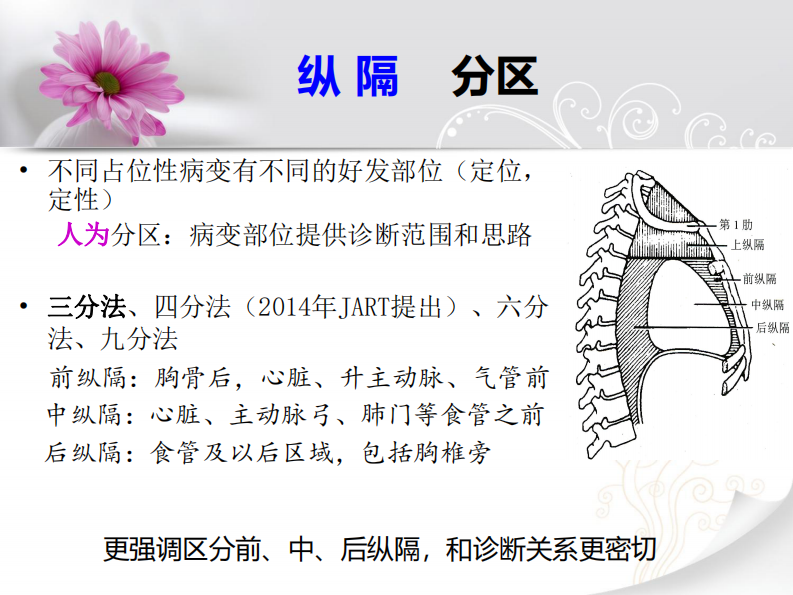 前纵隔实性肿瘤的影像认识--师毅冰.pdf 第3页