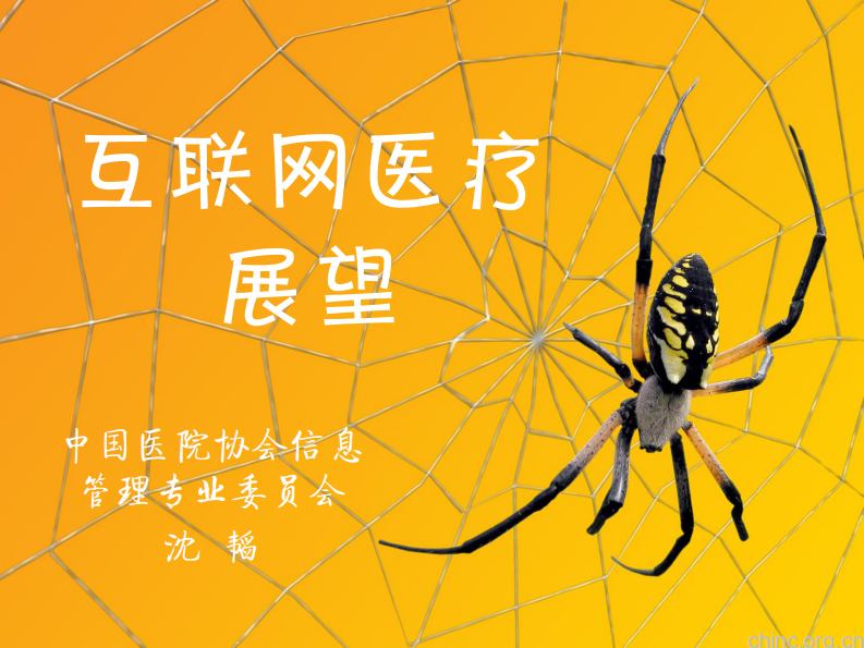 互联网医疗展望【沈韬】.pdf 第1页