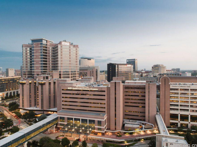 MD Anderson 的HIT战略规划-过往的总结，未来的展望(frenzel).pdf 第3页