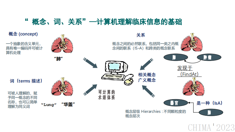 李海燕-基于ISO国际标准的中医临床术语系统.pdf 第2页