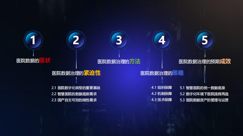 俞思伟-医院数据治理的方法与策略.pdf 第2页