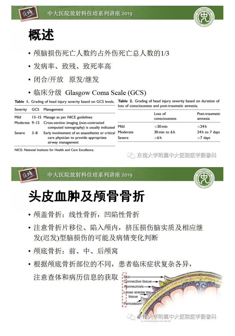 20190224_1【中大放射住培系列讲座第50期】成人颅脑损伤影像评估基本原则.pdf 第2页