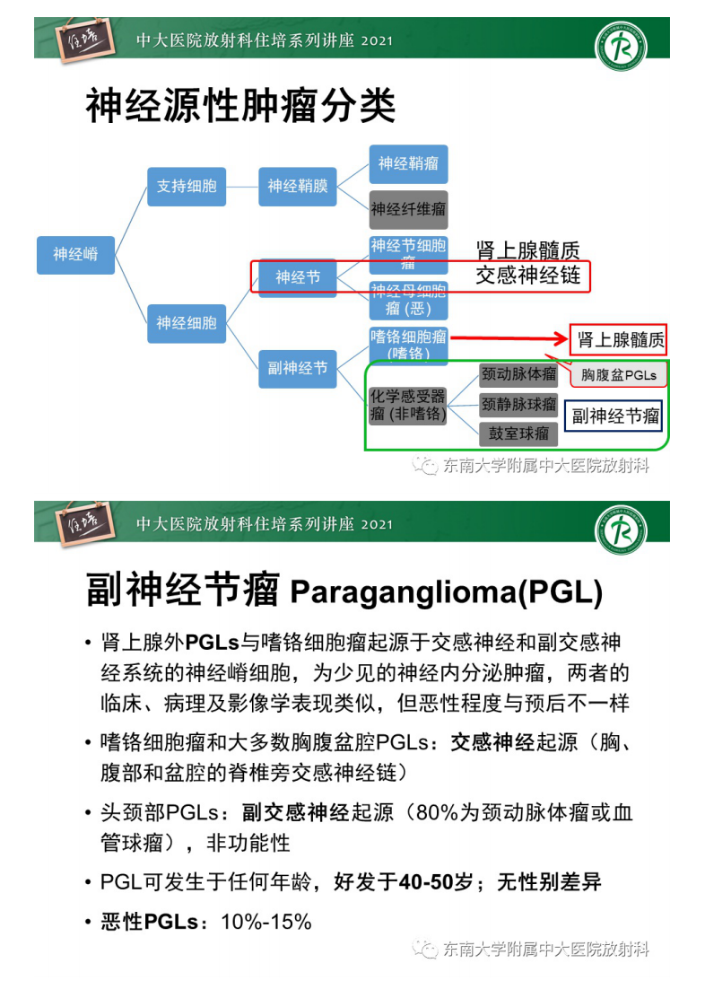 20210621_1【中大放射住培系列讲座】肾上腺外腹膜后副神经节瘤影像诊断思路.pdf 第3页