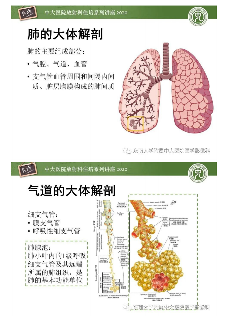 20200719_1【中大放射住培系列讲座】细支气管炎影像表现.pdf 第2页