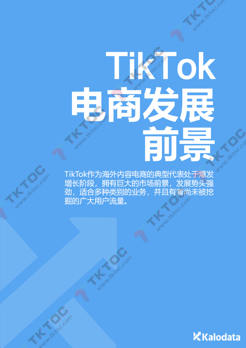 2024TikTok电商白皮书_v1.0.pdf 第5页