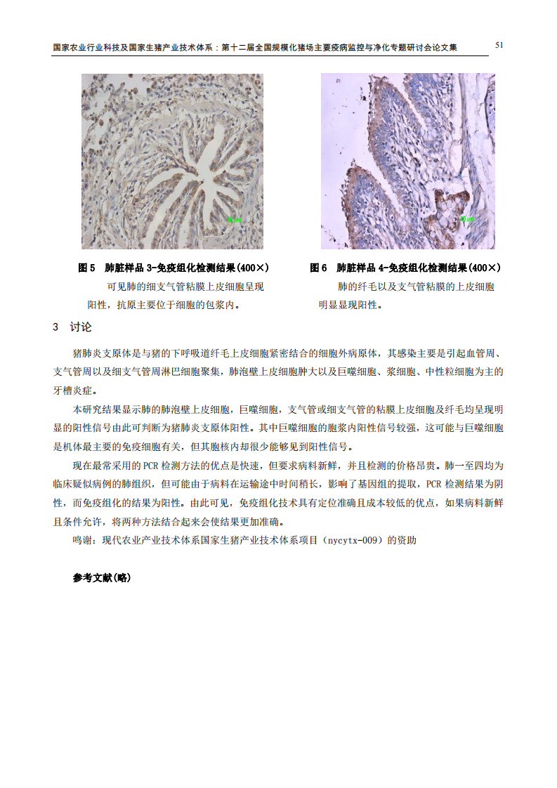 利用单抗免疫组化技术检测猪肺炎支原体.pdf 第4页