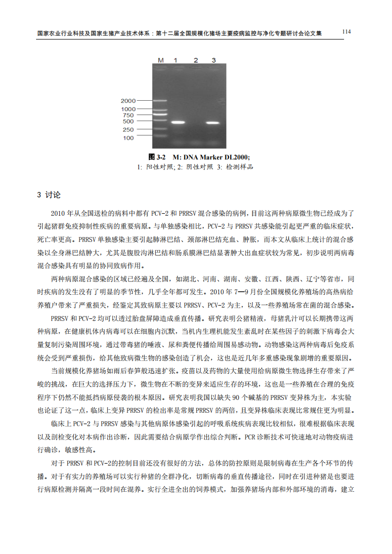 临床猪繁殖与呼吸综合征与猪2型圆环病混合感染的诊断分析.pdf 第5页