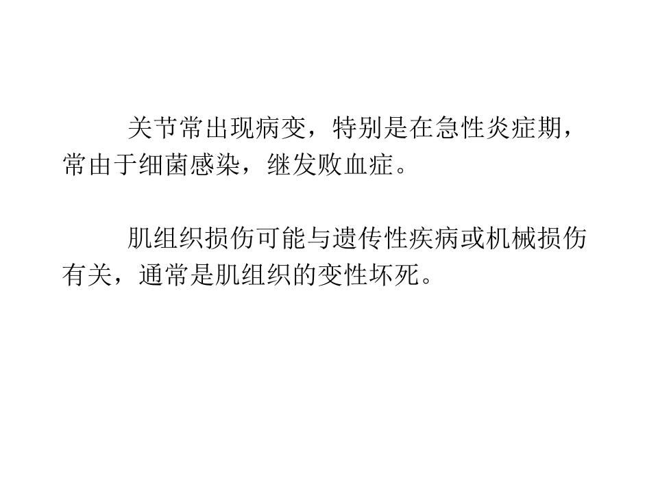 猪的病理解剖3.ppt 第4页