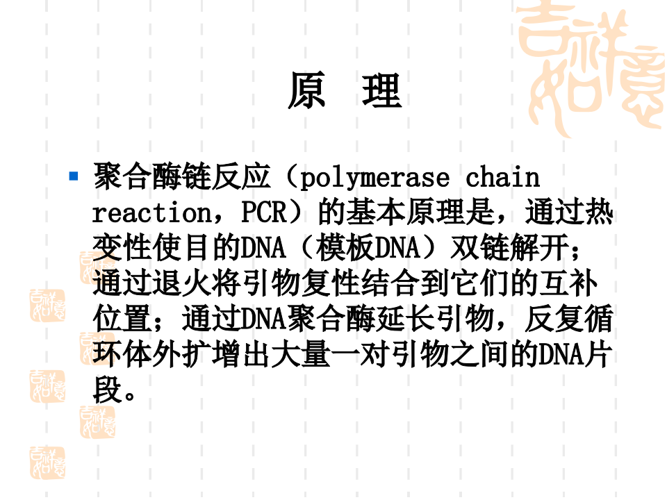 4.用PCR扩增法检测性别.ppt 第2页