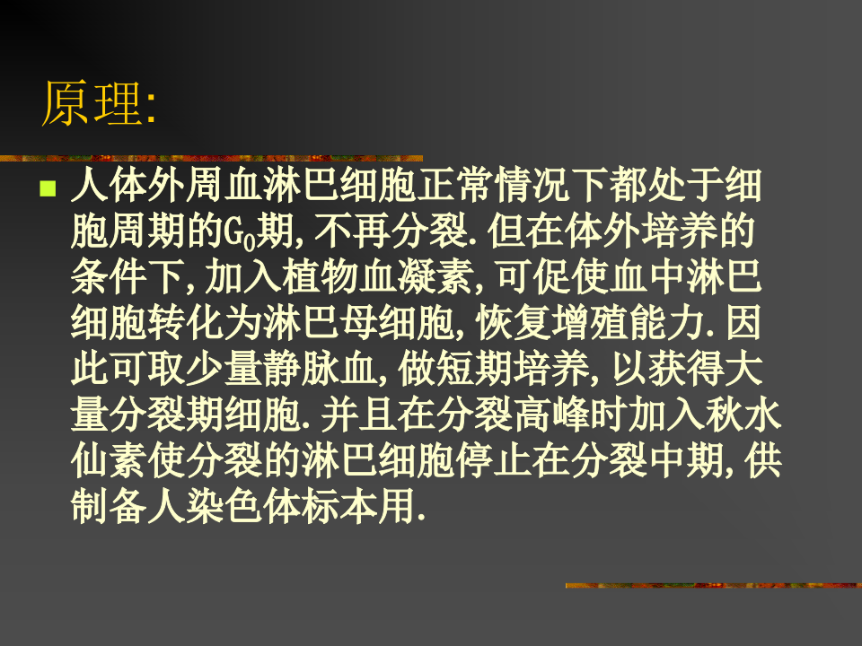 人外周血淋巴细胞培养及染色体.ppt 第2页