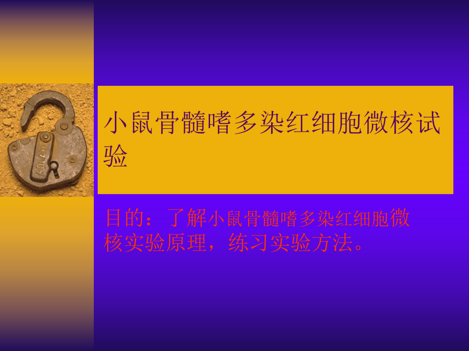 小鼠骨髓嗜多染红细胞微  100.ppt 第1页