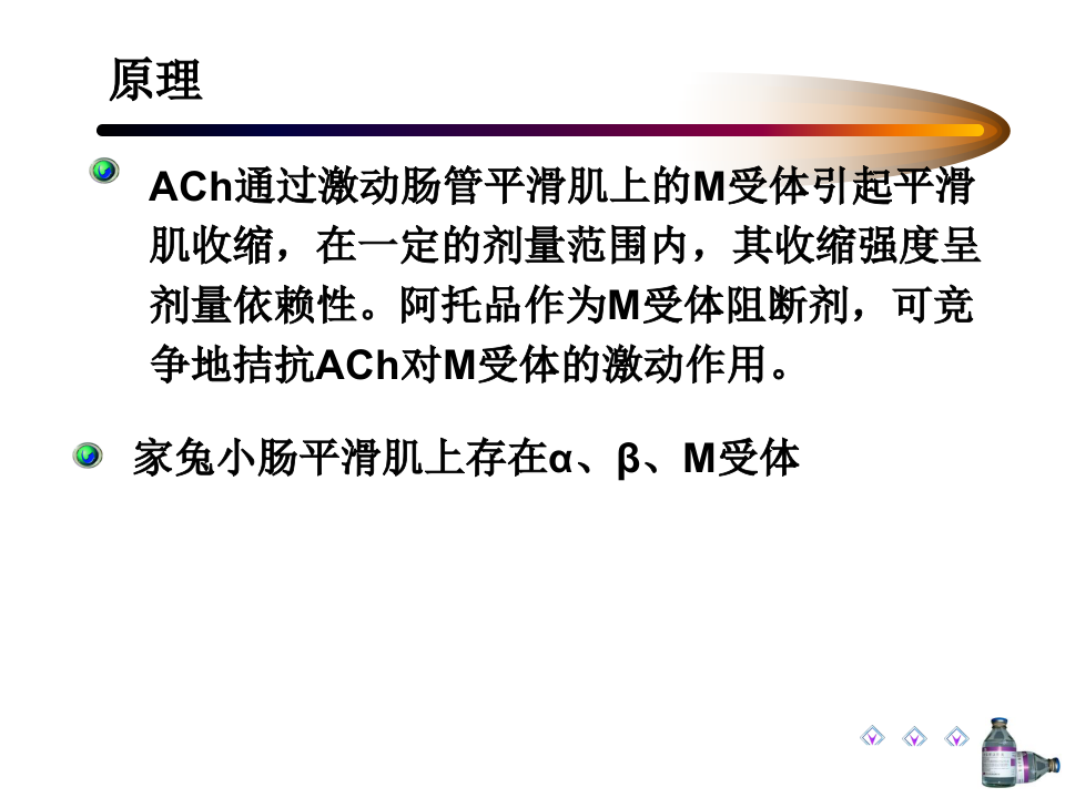 离体肠  .ppt 第3页