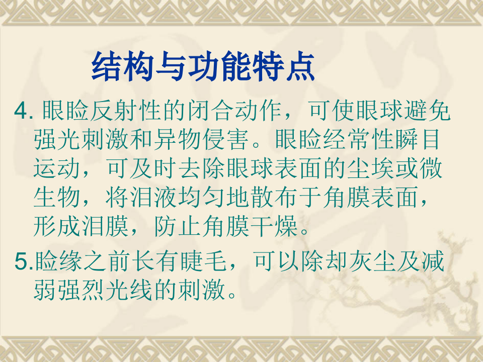 3)眼睑病.ppt 第3页