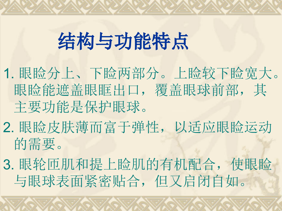 3)眼睑病.ppt 第2页