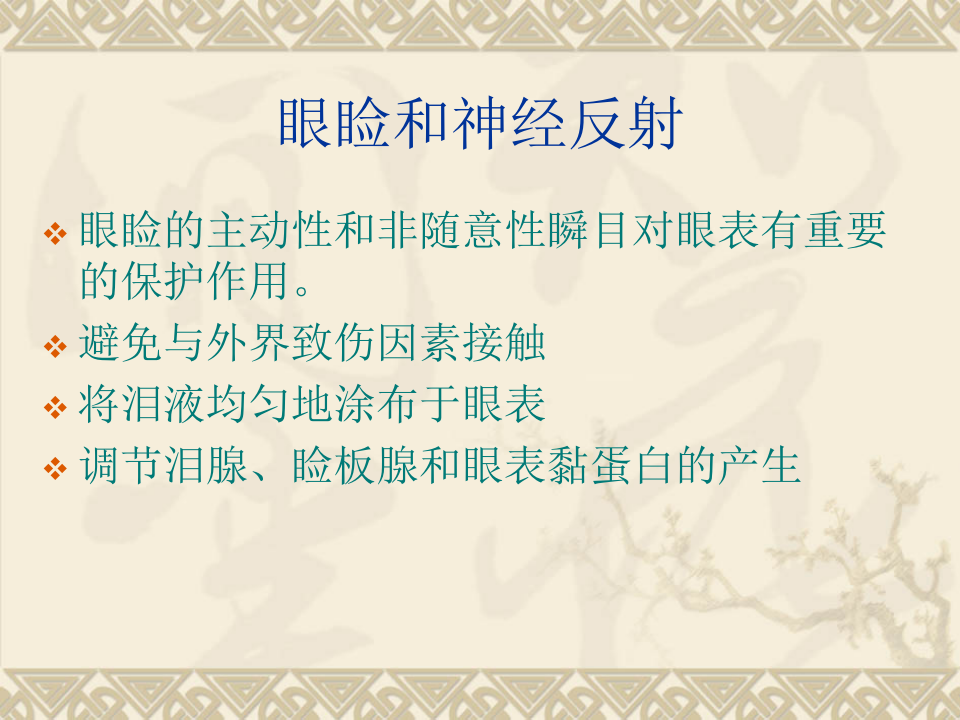 4)眼表疾病.ppt 第3页