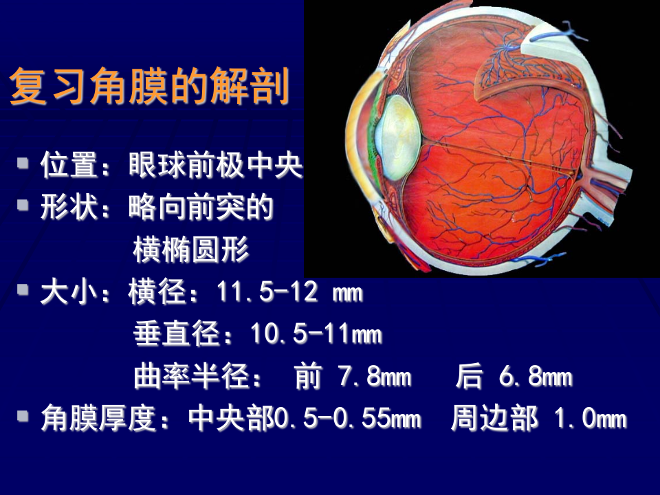 7)角膜病.ppt 第3页