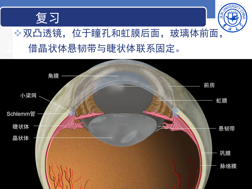 8)晶状体病.ppt 第2页