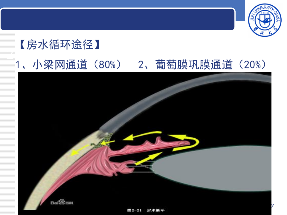9)青光眼.ppt 第3页