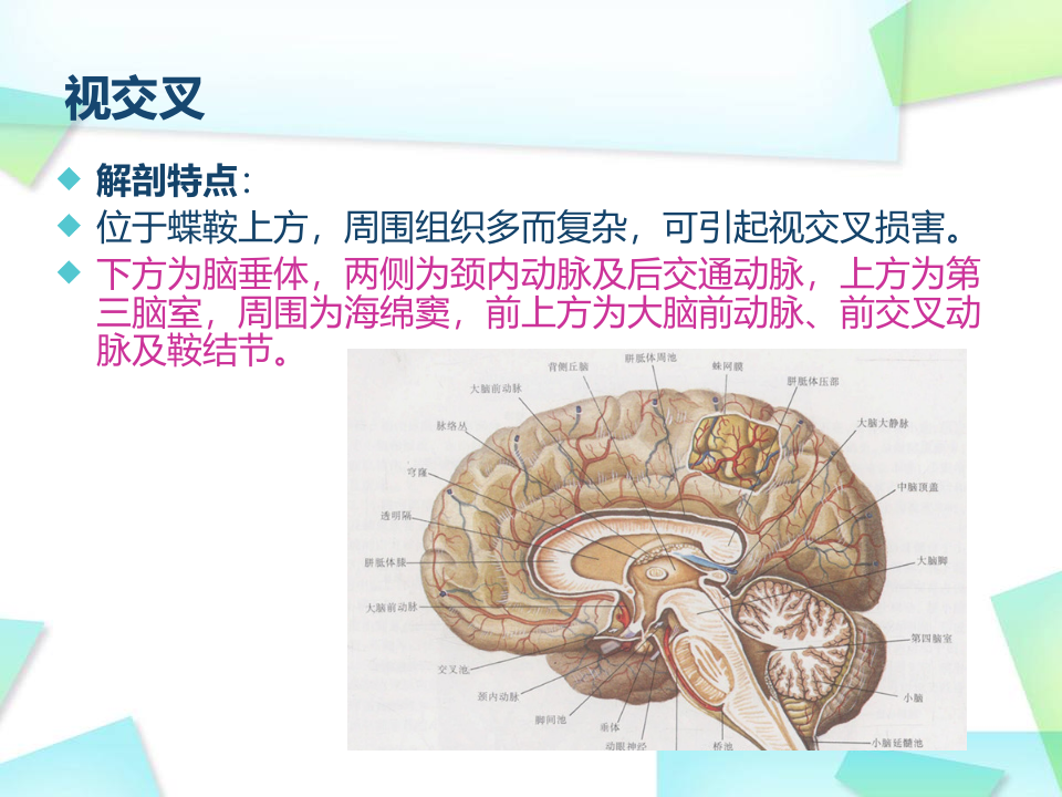 13)视路疾病--2015春吕雪漫.ppt 第5页