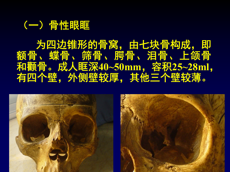 16)眼眶疾病第8版.ppt 第3页