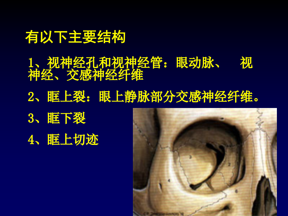 16)眼眶疾病第8版.ppt 第4页