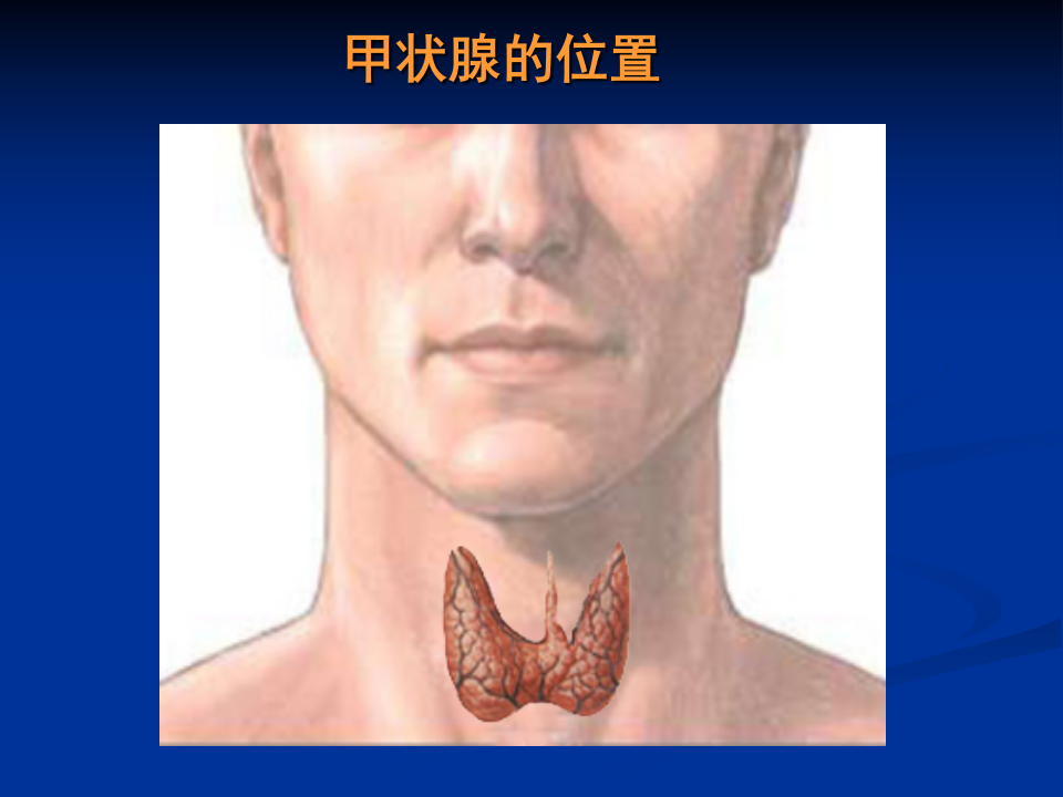 1）甲状腺疾病课件.ppt 第4页