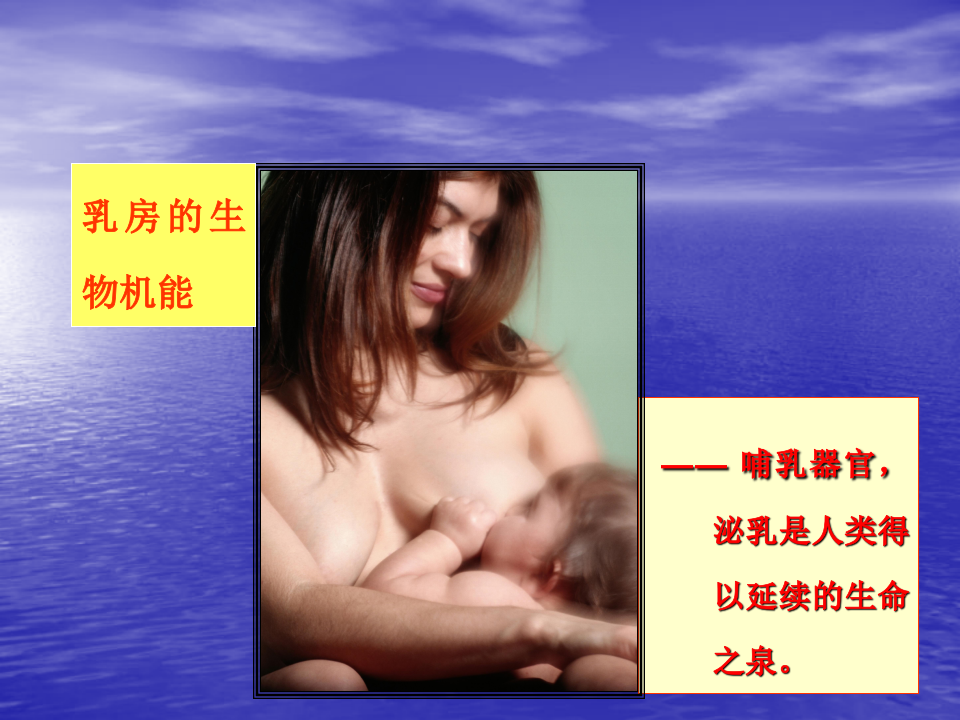 2)乳房疾病(2015).ppt 第3页
