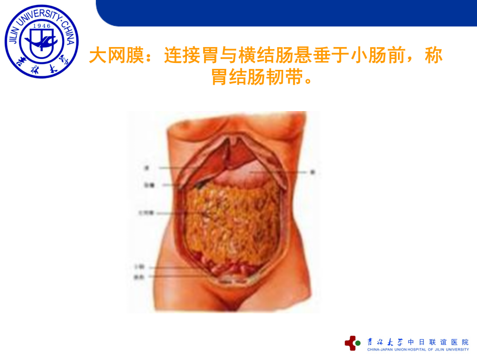 5)急性化脓性腹膜炎.ppt 第5页