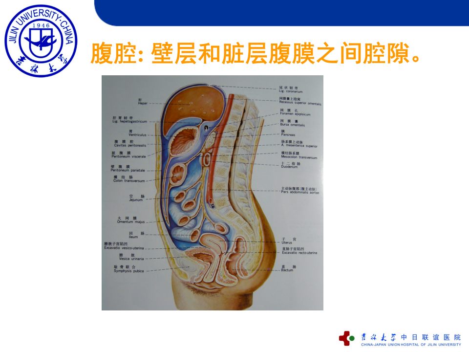 5)急性化脓性腹膜炎.ppt 第3页