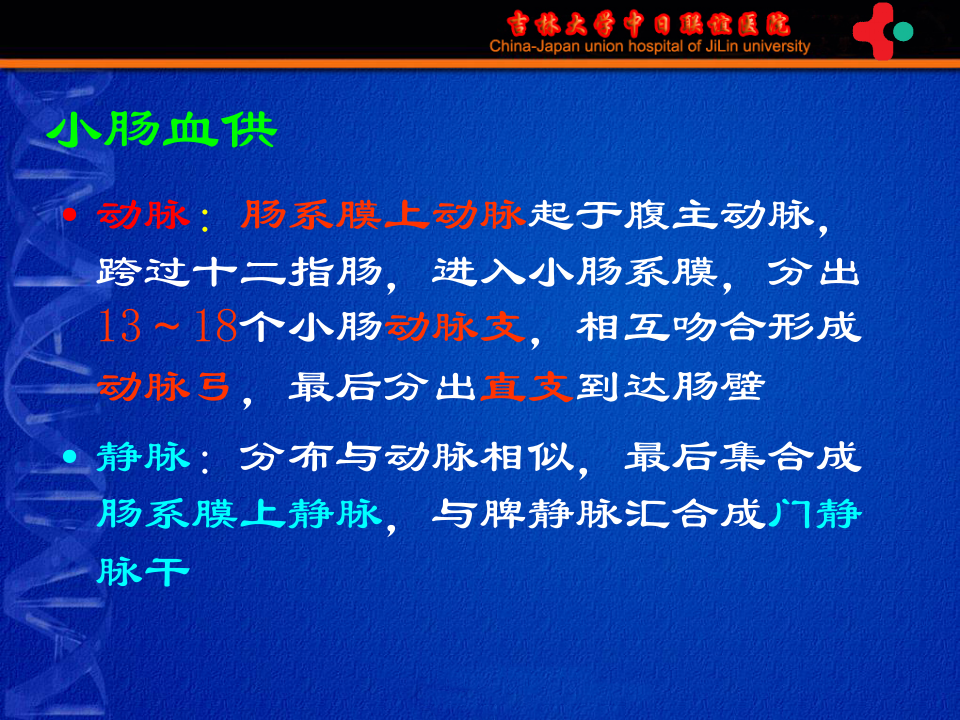 7)《护理本科-肠疾病》胃肠外科-高硕徽.ppt 第5页