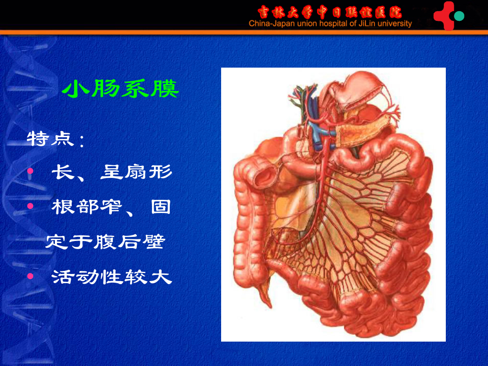 7)《护理本科-肠疾病》胃肠外科-高硕徽.ppt 第3页