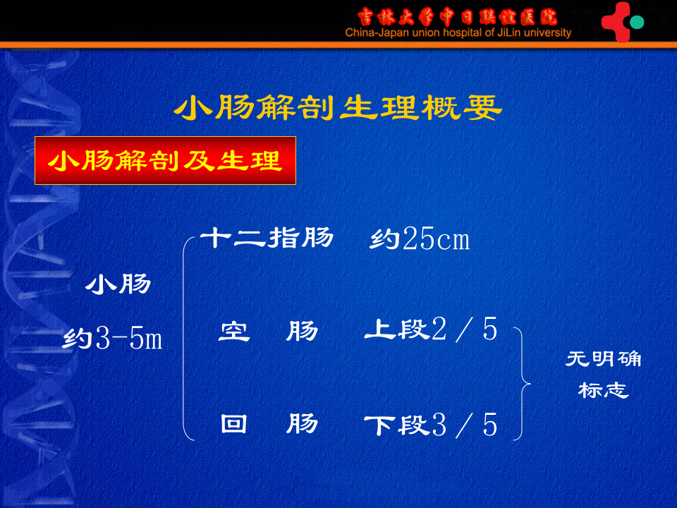 7)《护理本科-肠疾病》胃肠外科-高硕徽.ppt 第2页