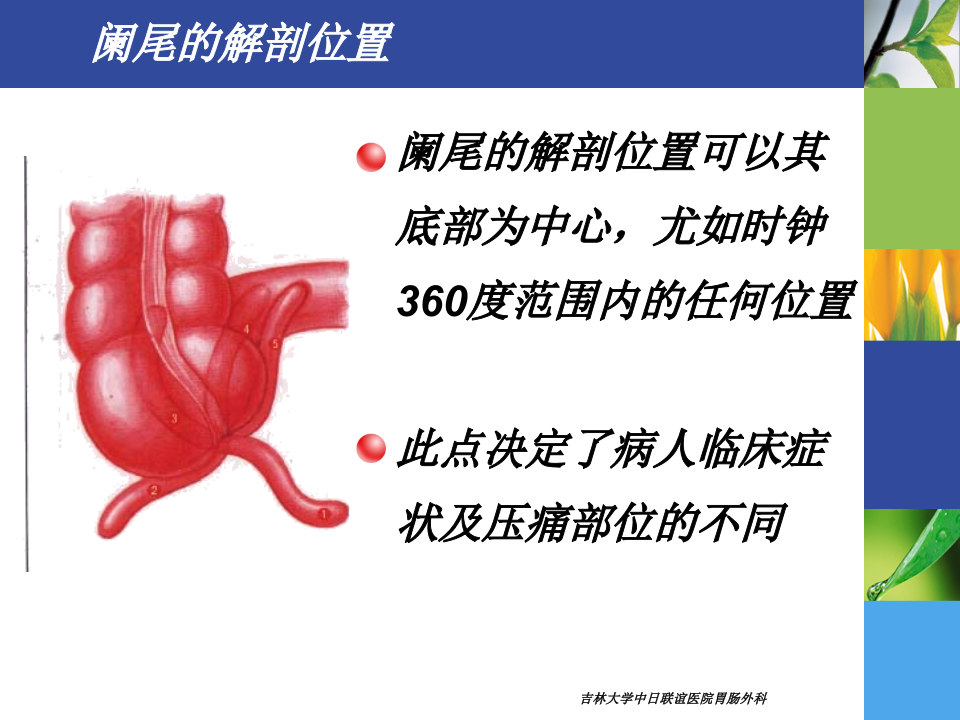 8)春季《护理本科-阑尾疾病》胃肠外科-高硕徽.ppt 第4页