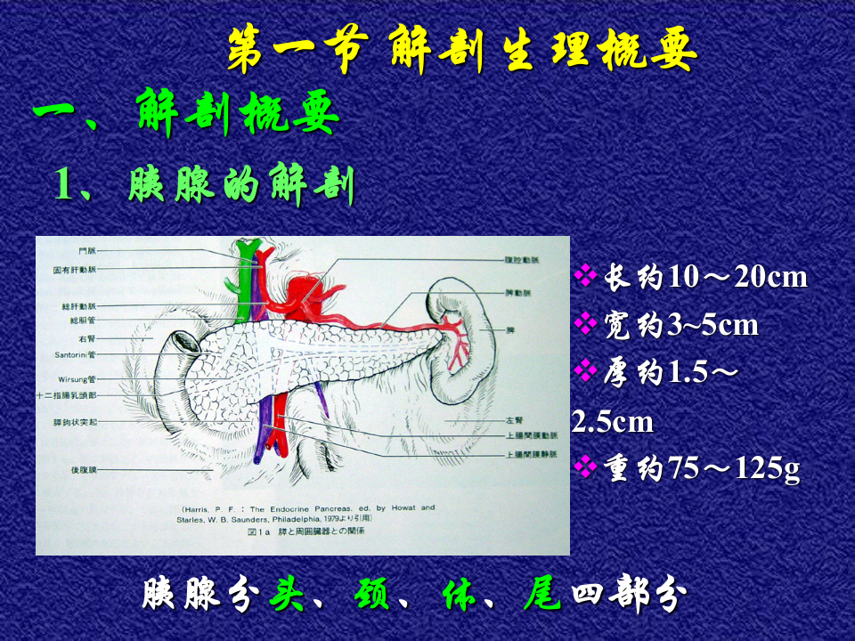 14)年胰腺疾病.ppt 第3页