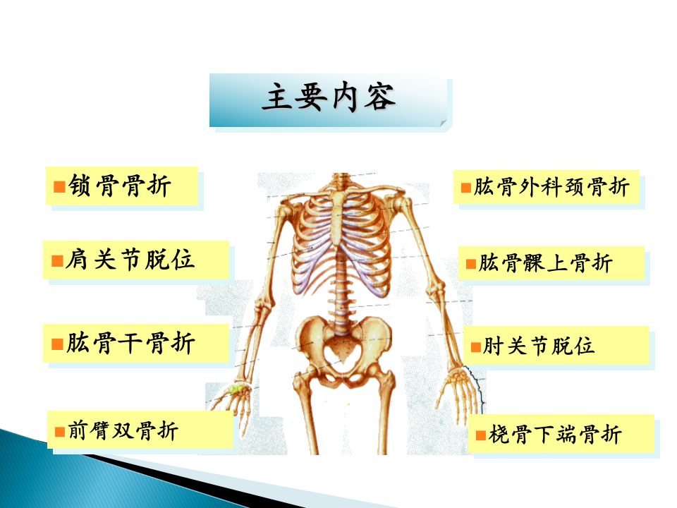 17)上肢骨折五年制2015-04-14.ppt 第3页