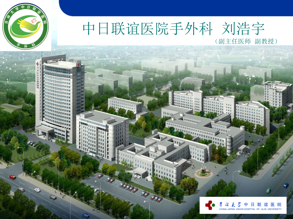 18)手外伤.ppt 第2页