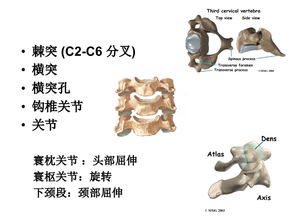 21)椎间盘突症颈间盘突出症.ppt 第5页